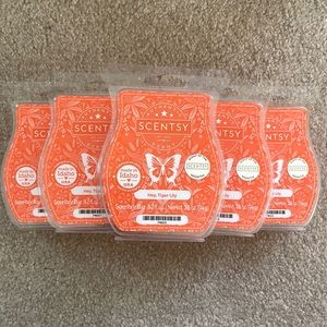 Pack of 6 Scentsy Bars.